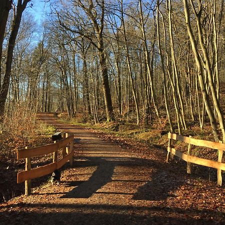 Waldmuehle Daire Schleswig Dış mekan fotoğraf