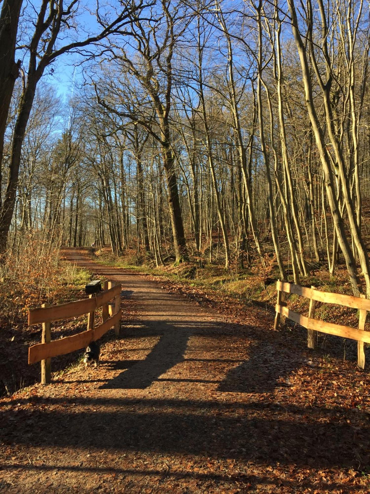 Waldmuehle Daire Schleswig Dış mekan fotoğraf